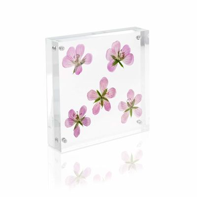 Cadres de tableau magnétiques acryliques Frameless d'affichage acrylique de photo de PMMA pour le réfrigérateur